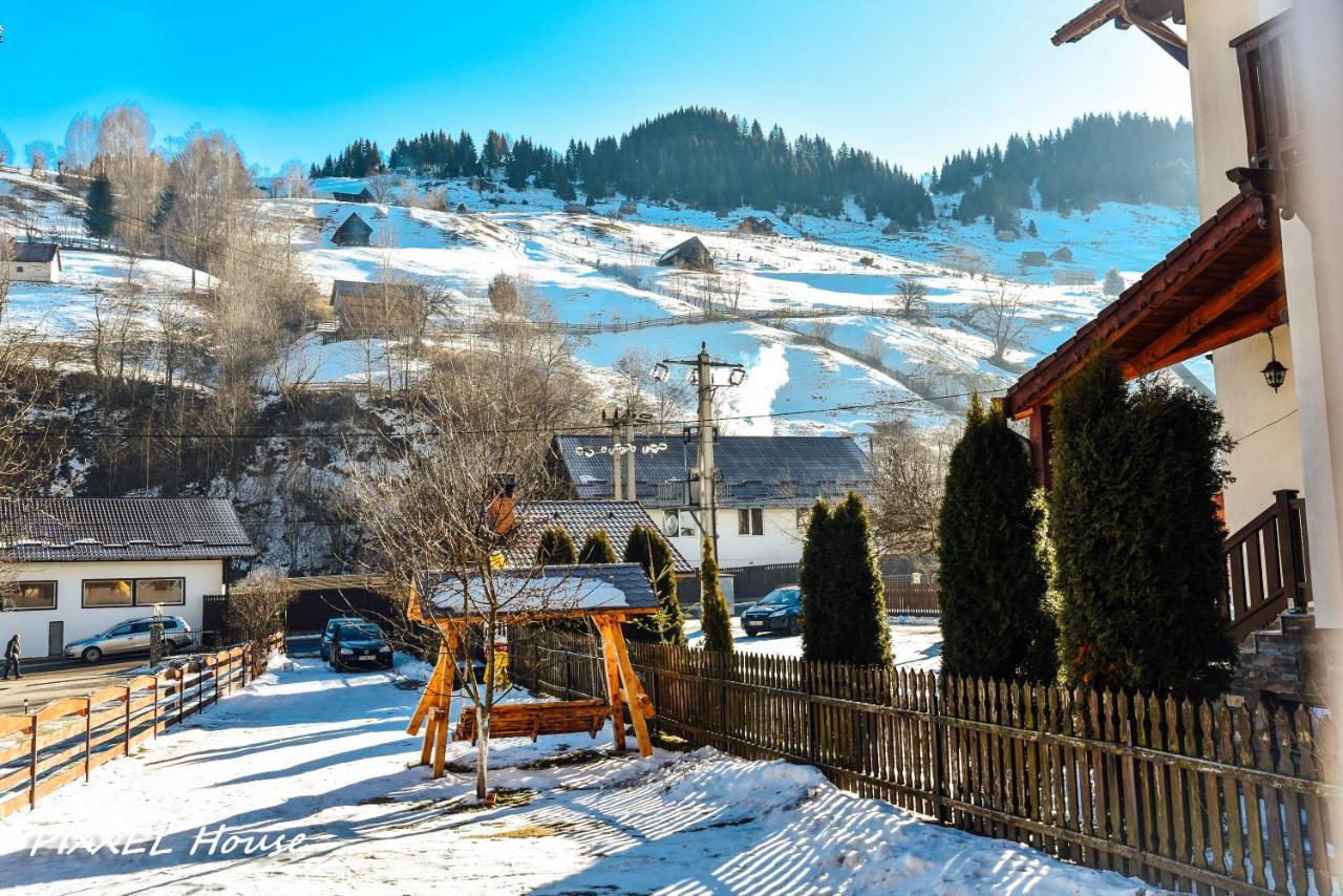Готель Pixxel House Моєчу-де-Сус Екстер'єр фото